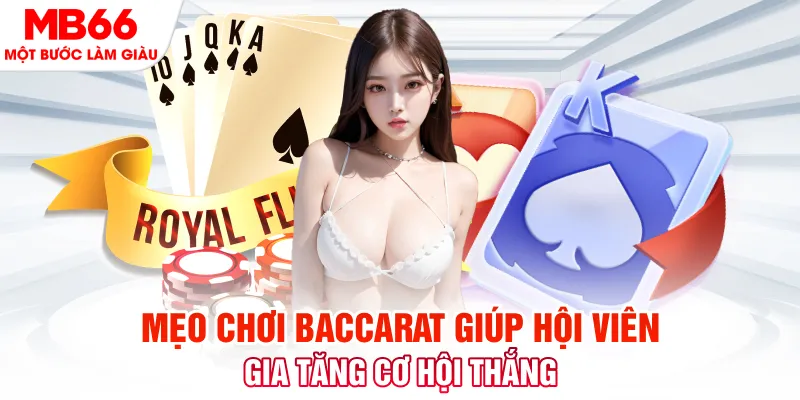88vv1 đá gà 88