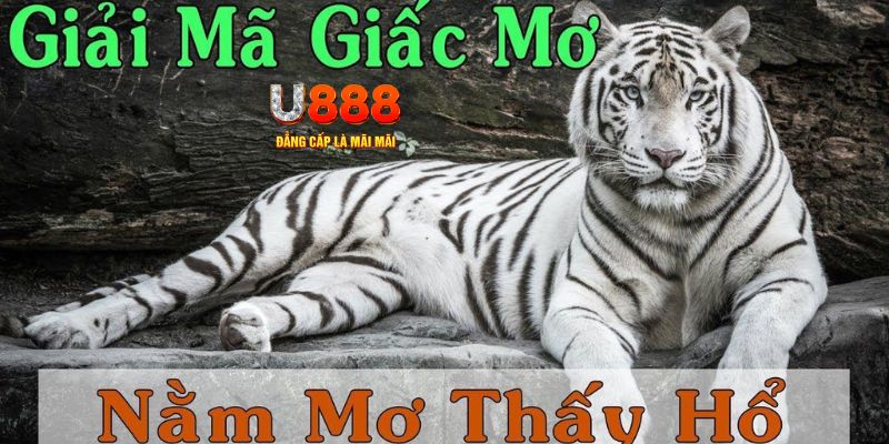 88vv1 xổ số kiến thiết miền bắc