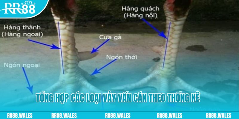 88vv1 nổ hũ chơi như thế nào