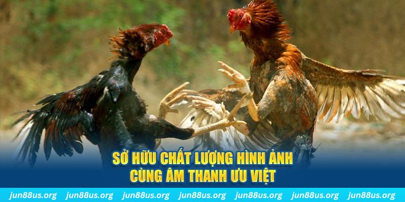 88vv1 tai game danh bai ve may tinh