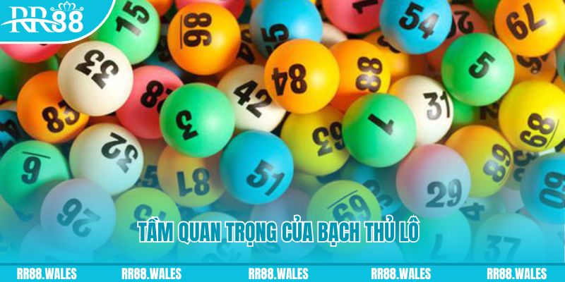 88vv1 đá gà trực tiếp casino