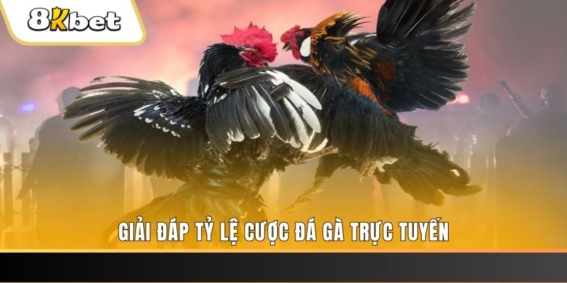 88vv1 xổ số ba đài
