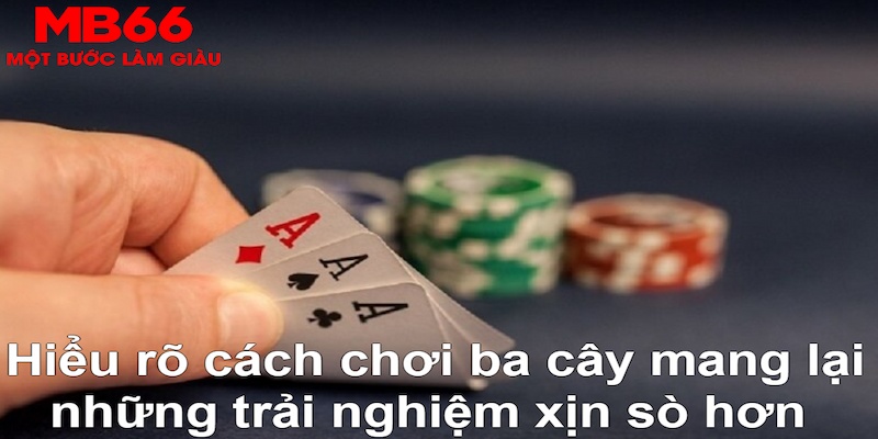 88vv1 ÁT CHỦ BÀI GIÀNH LẤY ZHUANG NIUNIU ( XEM 3 LÁ )