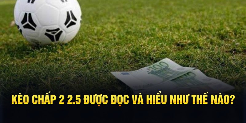88vv1 đá gà thomo