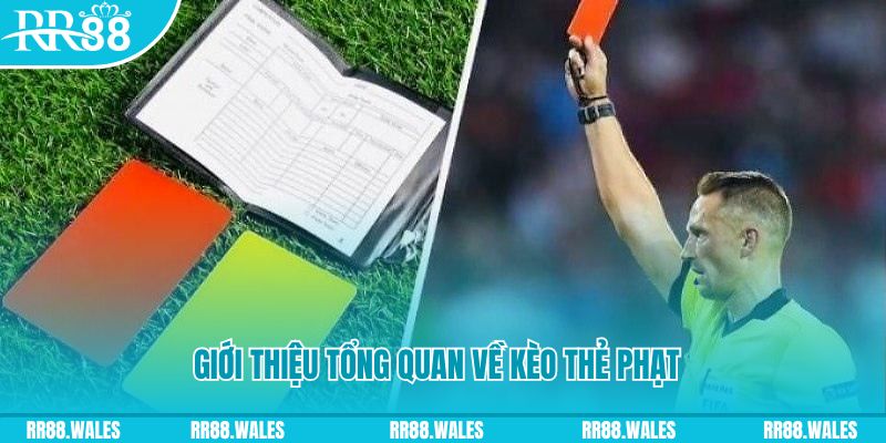 88vv1 sổ xô miên bắc